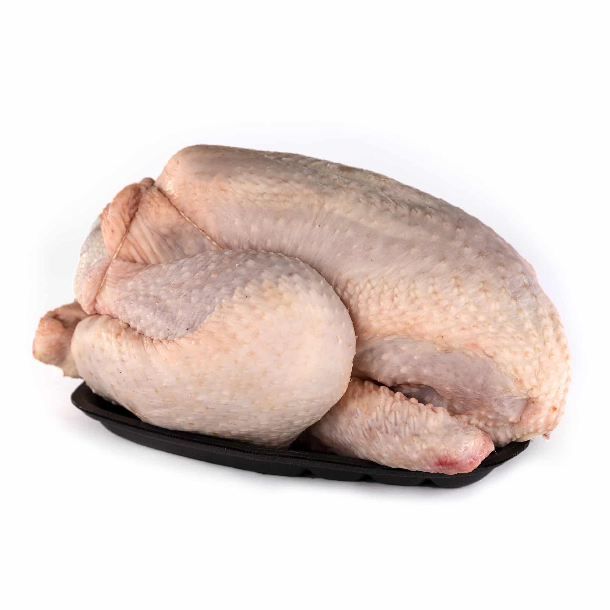 Poulet PAC - souche 957